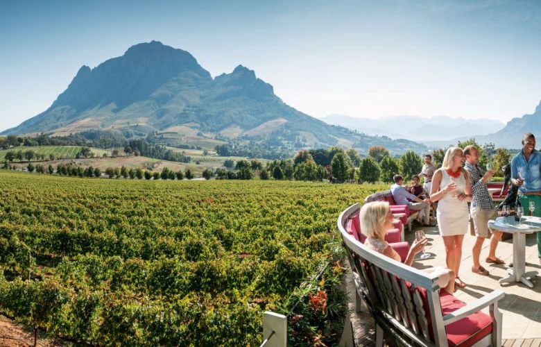 People enjoying a glass of wine, with vineyards and mountains as a backdrop