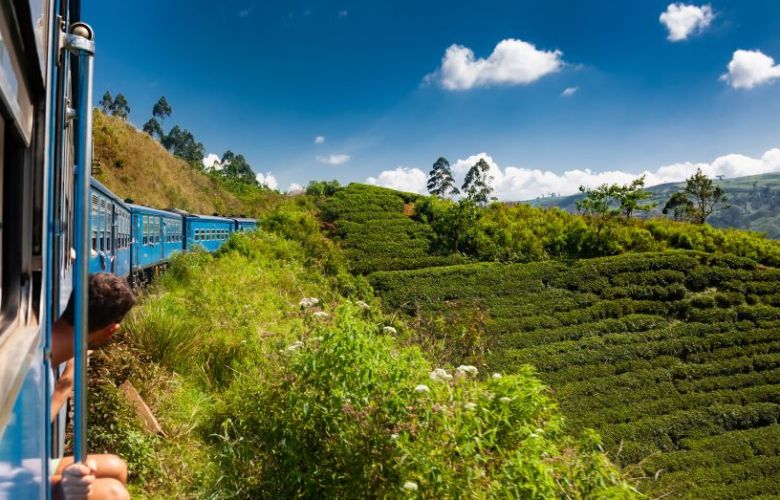 Train travelling through the tea plantations in Sri Lanka
