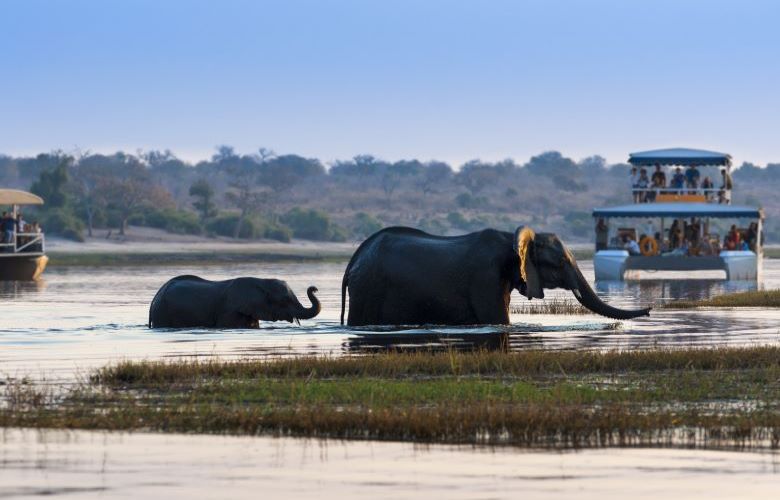 Elephant and cub crossing the river with tourists watching in the background