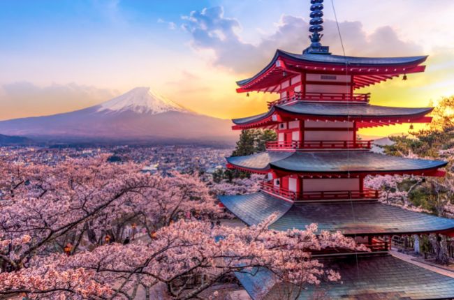 Chureito Pagoda and Mount Fuji at Sunset Sakura Cherry Blossom Season Fuji Five Lakes Japan