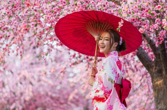 Japanese Girl with umbrella under cherry blossom tree
