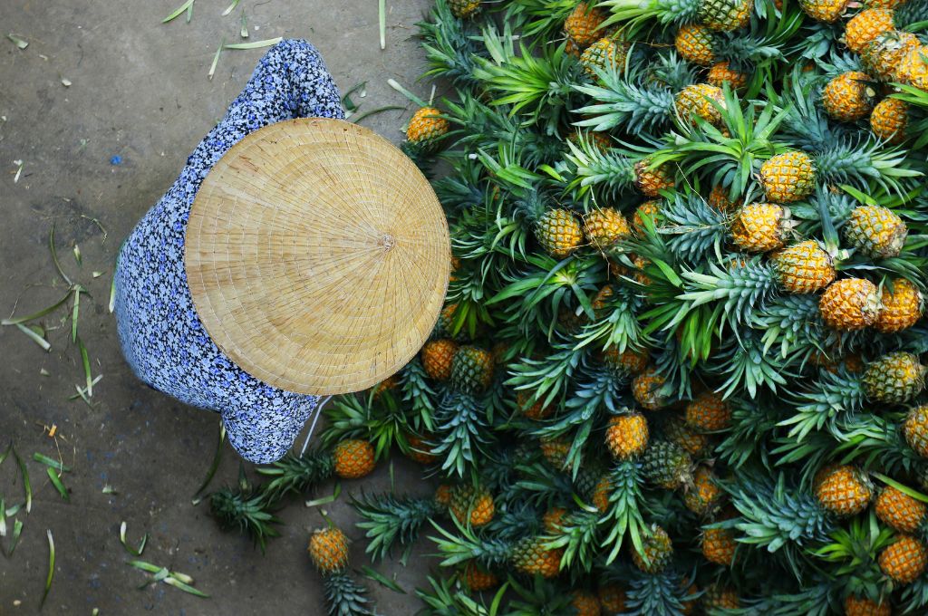 Vietnamese lady selling pineapples