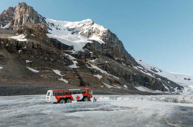 thabasca-Glacier icefields
