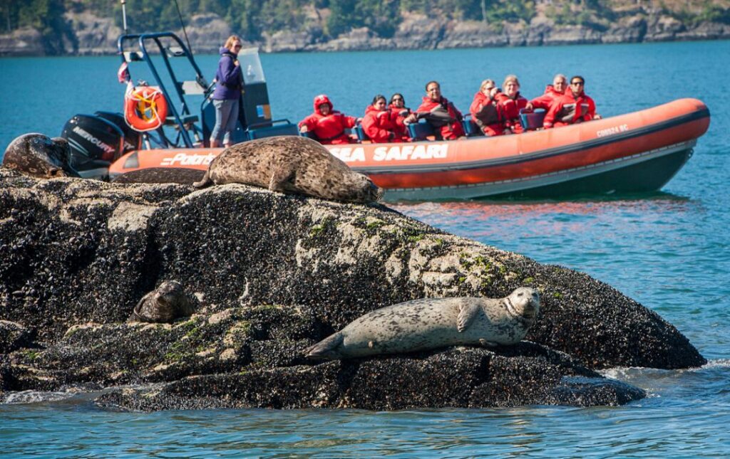 SEA-SAFARI-WITH-TRANSFERS