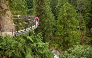 Vancouver-Grouse-Mountain-Capilano-Suspension-Bridge