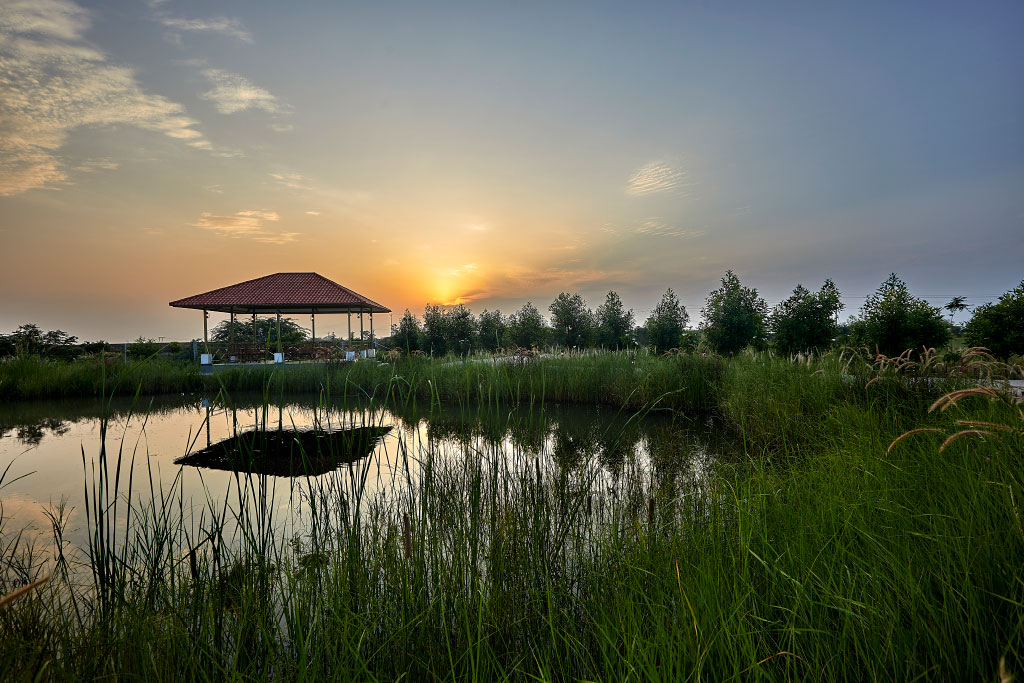 Velavadar - Blackbuck Safari Lodge