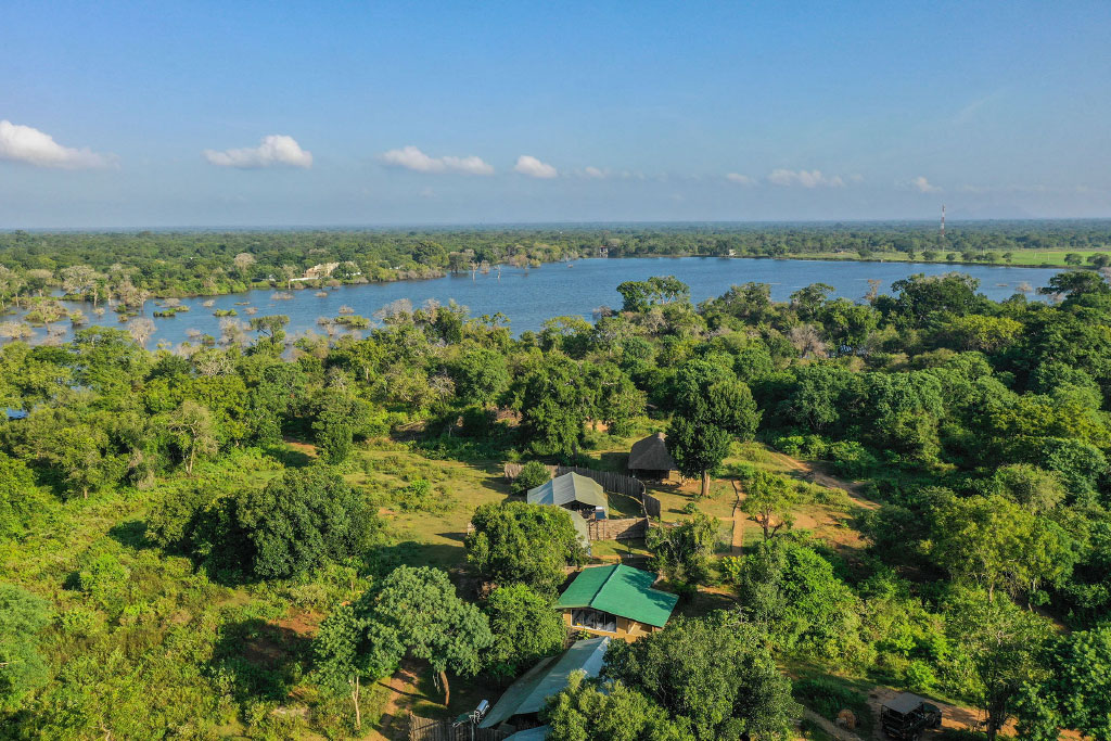 Yala - Safari Camp Experience