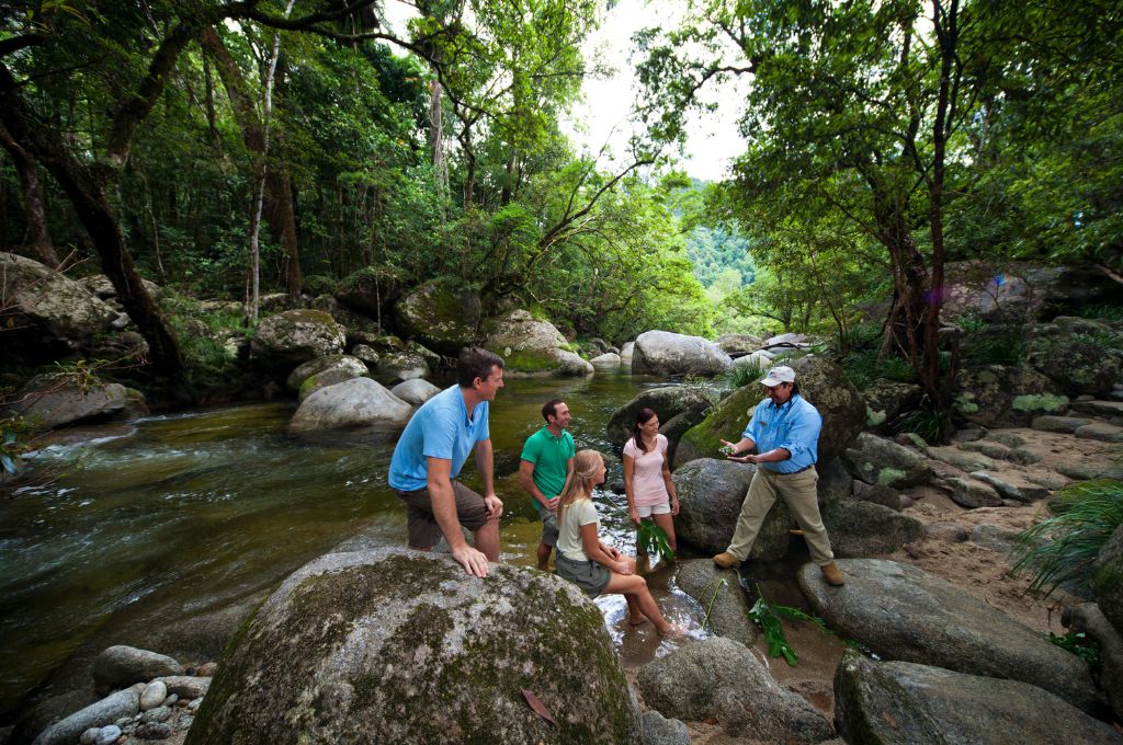 Daintree National Park