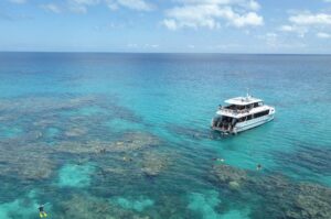 Port Douglas - Outer reef snorkel tour