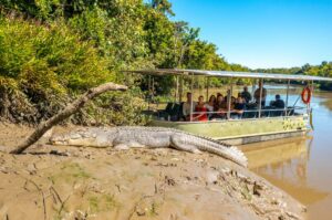 Whitsundays Crocodile Safari