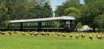 Spectacular South Africa Rovos Rail