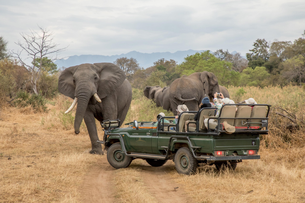 Chisomo Safari Camp, Karongwe Private Game Reserve