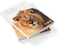 great african rail journeys great african rail journeys